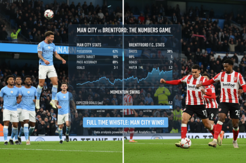 Man City vs Brentford F.C. Stats